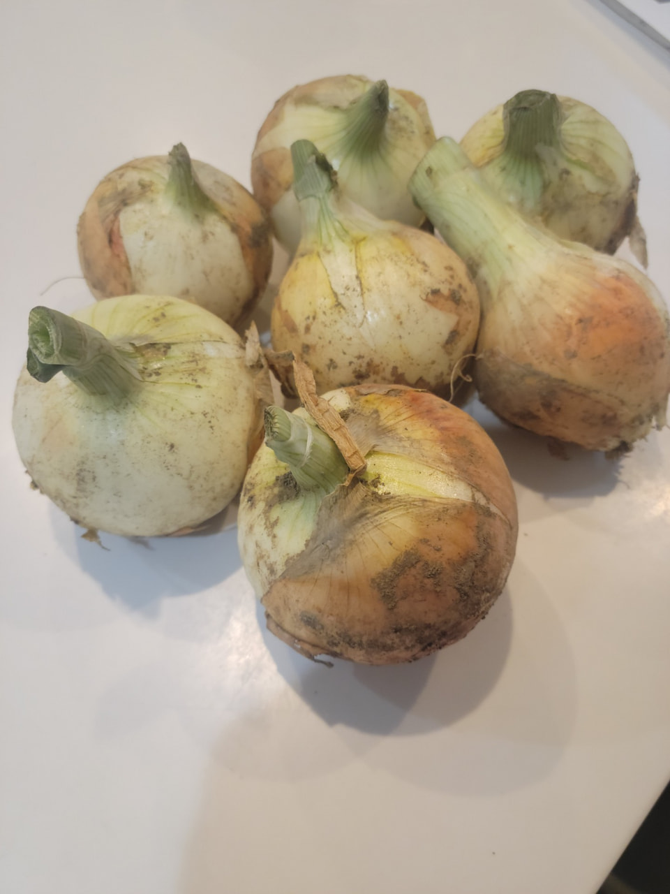 Blog-post Thumbnail